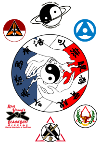 logo ecole delannoy d'arts martiaux