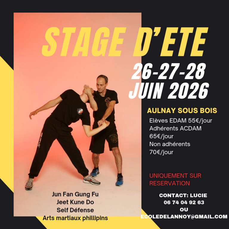 stage de jeet kune do été 2026 ecole delannoy